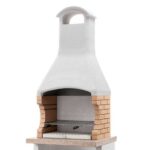 Barbacoa Module Grill de obra para leña y carbón - Palazzetti Ariel