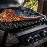 Barbacoa de cemento para carbón Palazzetti Aral GR