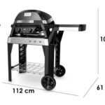 Barbacoa de cemento para carbón Palazzetti Aral GR